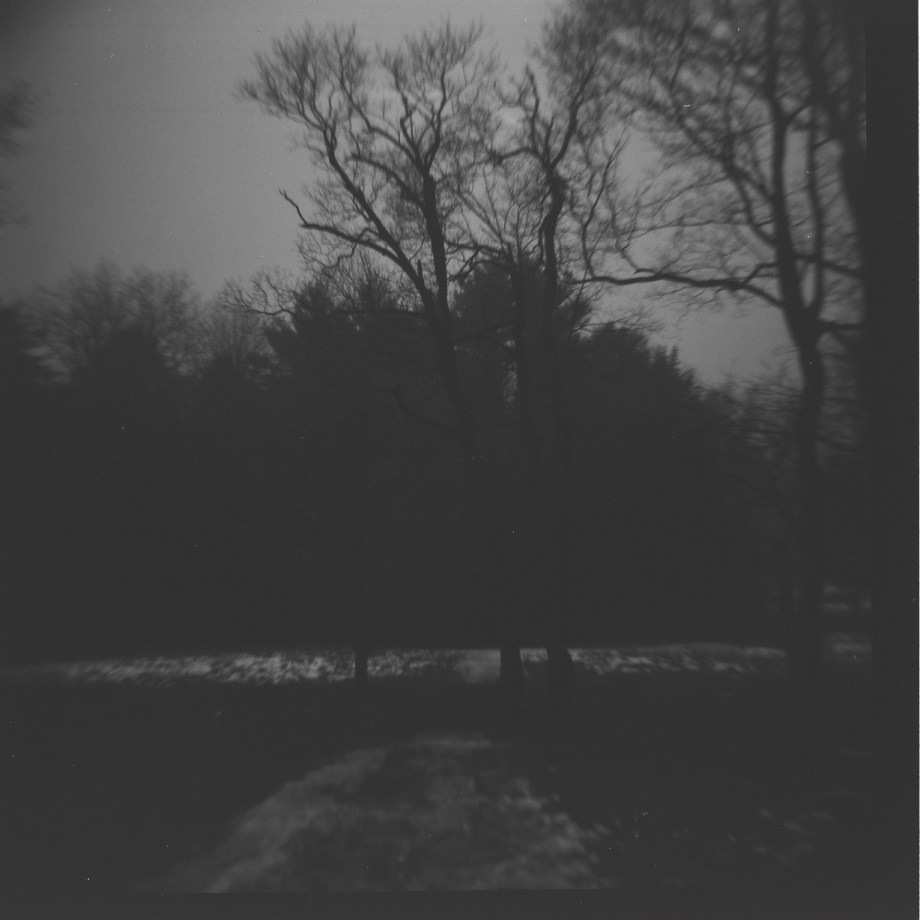 the beginning of the trail