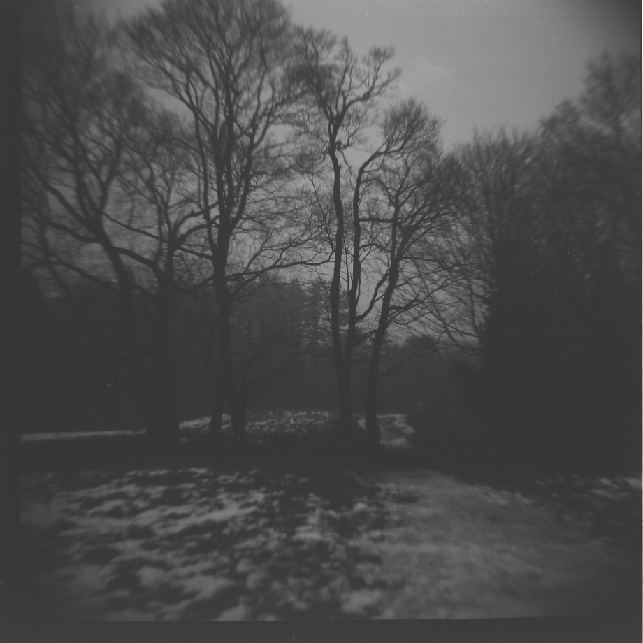 the man leaving the woods