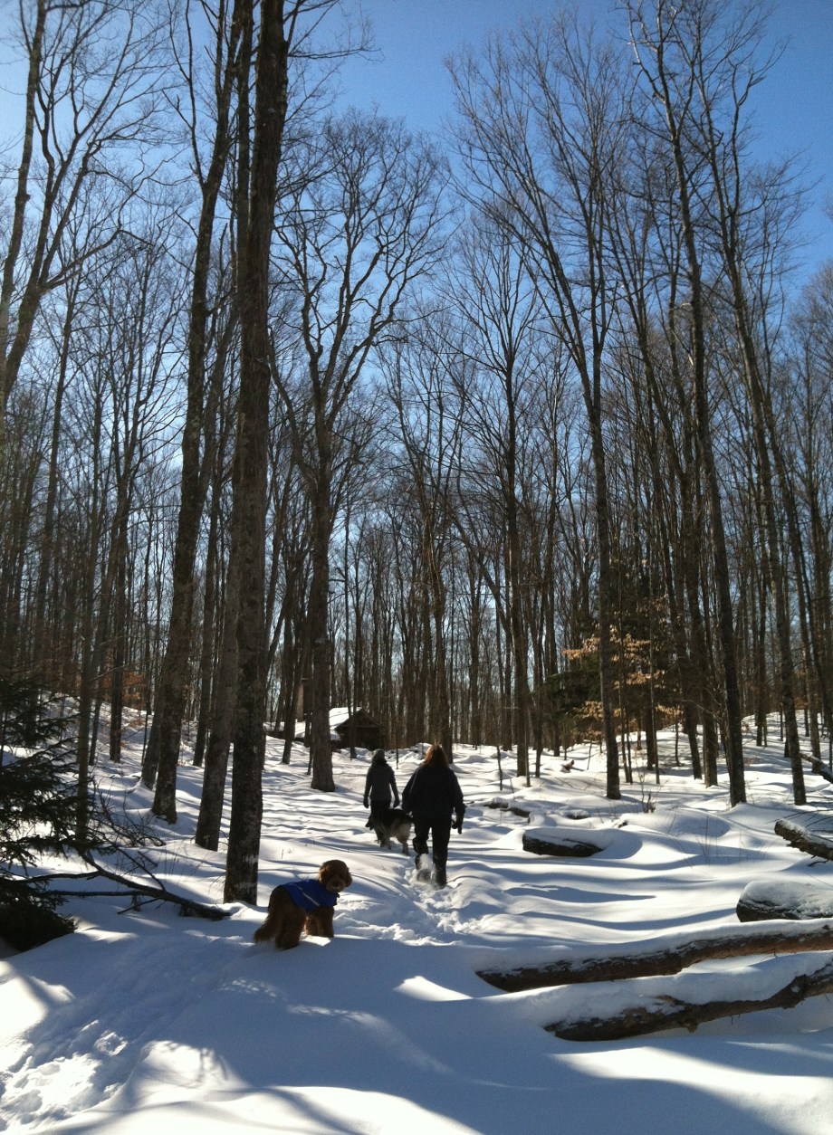sugar shack